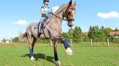 cav-0418-schulterkontrolle-lir1862-mit-teaser (jpg)