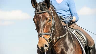 CAV Kurzcheck Zufriedenheit