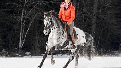 CAV Ausritt Schnee Aufmacher