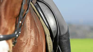 CAV Pauschen Aufmacher