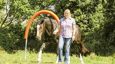 CAV Horse Agility Aufmacher