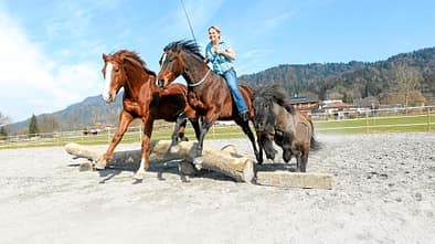 CAV Gebisslos Reiten Claudia Miller