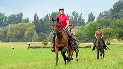 CAV Traber Rassetest Gelände