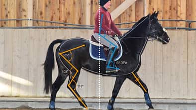 CAV Bewegungsanalyse 14 (jpg)