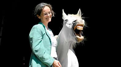 CAV Pferdekenner Knut Krüger Training Verhalten 7