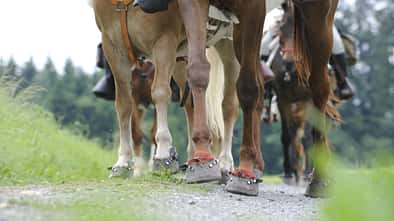 CAV_05_2010_Schotter_Gelaende_LIR7904 (jpg)