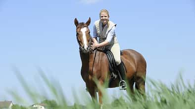 CAV Pferd Reiter Fuchs Gelände