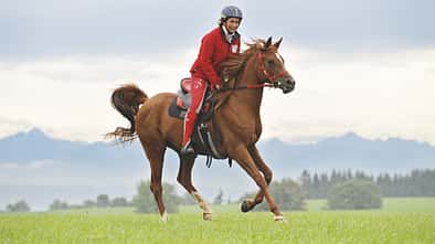 CAV 01_2010_Sybille Markert-Baeumer_10 (jpg)