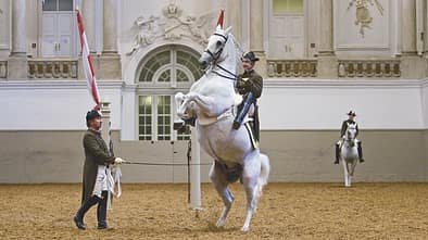 CAV 0510 Interview_Text (jpg)