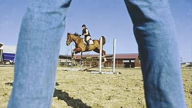 CAV 0210 Pferd Pur Kaufvertrag_01
