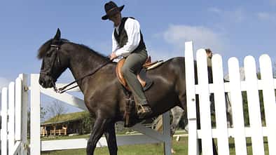 CAV Working Equitation
