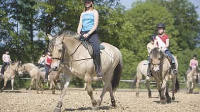 CAV Hilfszügel Teil 3 Bild 5