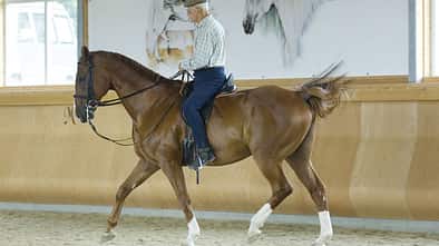CAV Jean-Claude Racinet  Bild 3