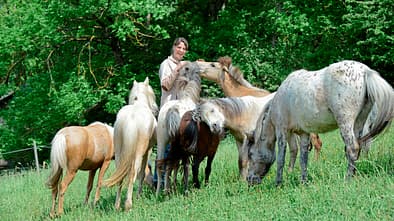 CAV Praktikum Foto Stelle