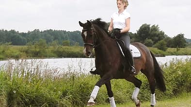 CAV Tietze Dressur Coach Video 09 Verstärkung  Zulegen