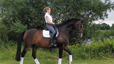 CAV Academy   Tuulie Tietze Dressur Schritt