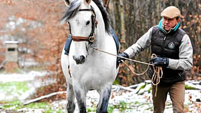 CAV Stefan Schneider Wintertraining Bodenarbeit Gelände