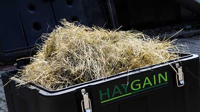 CAV-1011-Heubedampfer-Haygain (jpg)