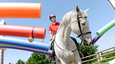 CAVALLO Spielt mein Pferd gerne?