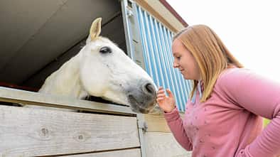Reiten lernen - mein erstes Mal