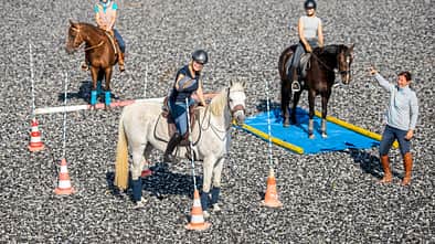 Working Equitation