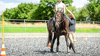 Working Equitation