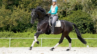 Pia Struwe,Deichhofs Whinslet,3-Takt,Losgelassen,Versammlung,bergauf,Sitzeinwirkung,Anlehnung,locker,pendelnder Schweif Galoppierendes Pferd auf dem Reitplatz