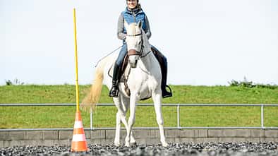 Working Equitation 