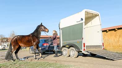 Cavallo Coach