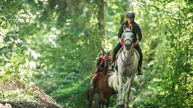 Ausprobiert: CAVALLO-Redakteurin Lisa Rädlein probierte für unsere Reihe "Lisa in fremden Sätteln" dieses Mal den Distanzsattel aus.