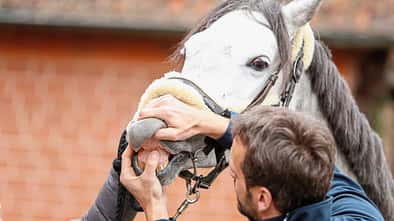 CAVALLO Medizin-Kompendium Amyloidose Medizin-Kompendium Amyloidose