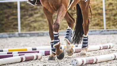 Pferd mit Reiter, das auf einem Außenplatz über Stangen geht
