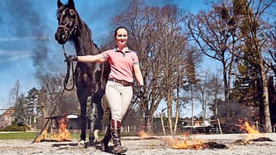 Mein erstes Dressurpferd