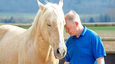 CAVALLO Dösen mit dem Pferd Dösen mit dem Pferd