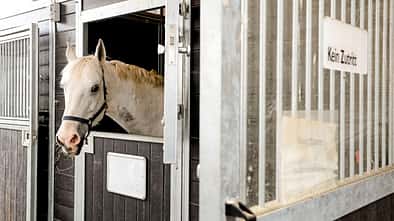 Medizin Kompendium EHM