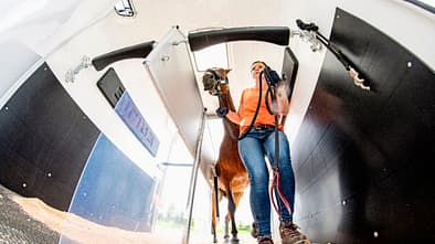 Mit dem Pferd auf Tour