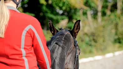 Ohrenspiel beim Reiten