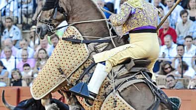 Stierkämpfer zu Pferd mit angreifendem Stier