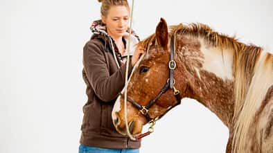 Anbinden ohne Stress