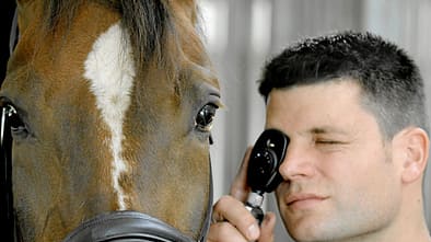 Medizin-Kompendium periodisch wiederkehrende Augenentzündung