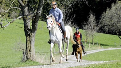 Muskeln aus dem Trog