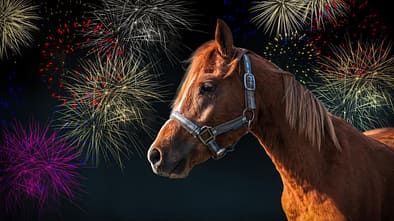 Pferd vor Silvester-Feuerwerk