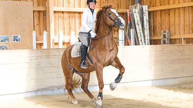 CAVALLO Medizin-Kompendium ECVM