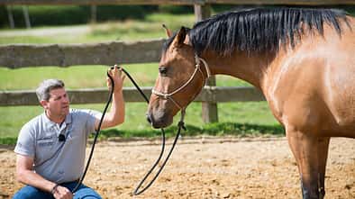 Bernd Hackl mit Pferd