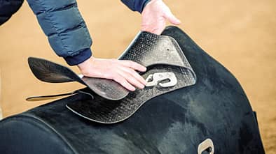 CAVALLO Der REV-Sattel von Stübben CAVALLO Der REV-Sattel von Stübben