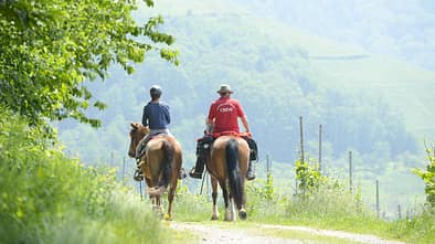 Rückenansicht zweier Reiter im Gelände 