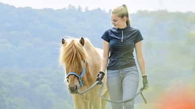 Zu Fuß unterwegs mit Pferd