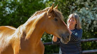 Petra Teegen streichelt ein Pferd