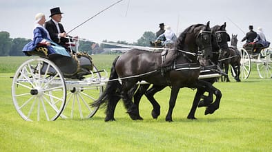 Gastland Niederlande mit der Fryske Quadrille 