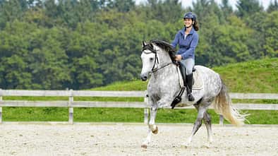 CAVALLO Motivieren leicht gemacht